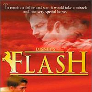 Photo Flash