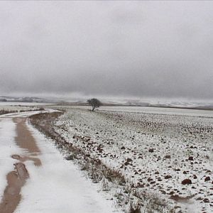 Photo Ne pas s'avouer vaincu