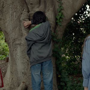 Photo Big Bad Wolves