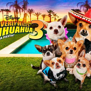 Photo Le Chihuahua de Beverly Hills 3 : Viva La Fiesta !