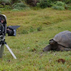 Photo The Galapagos Affair: Satan Came To Eden