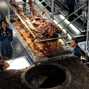 Photo Michaela Conlin