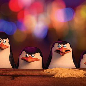 Photo Les Pingouins de Madagascar