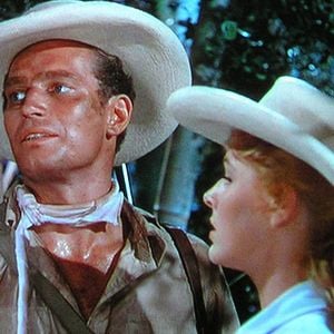 Photo Quand la Marabunta gronde