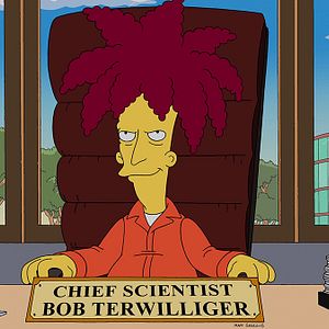 Photo Les Simpson