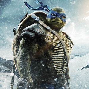 Photo Ninja Turtles