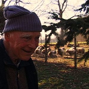 Photo Mé damné - Que Dieu me damne