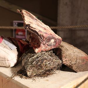 Photo Steak (R)évolution