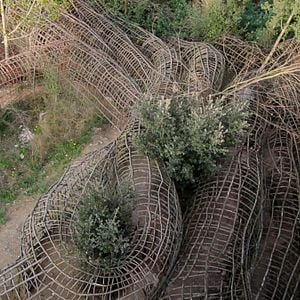 Photo L'Inventeur de la jungle