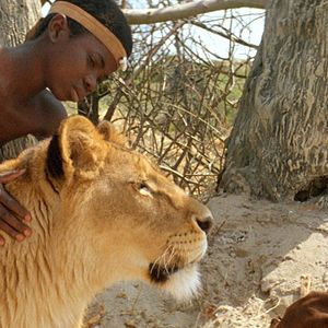 Photo L'Enfant lion
