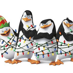 Photo Les Pingouins de Madagascar