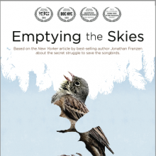 Photo Emptying the Skies