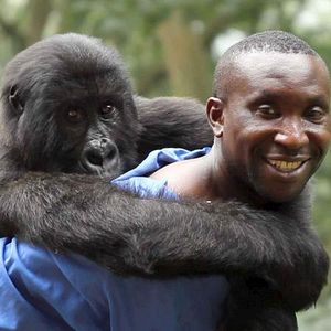 Photo Virunga