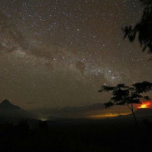 Photo Virunga