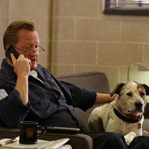 Photo Christian Stolte
