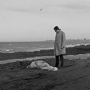 Photo Les innocents