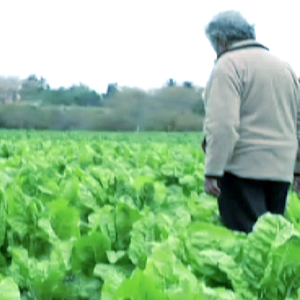 Photo Mujica, le pouvoir est dans le cœur