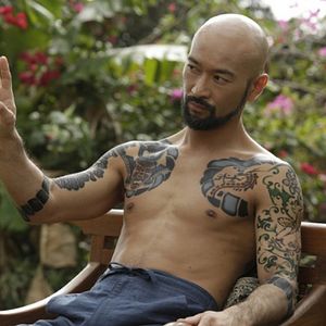 Photo Falcon Rising