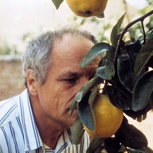 Photo Le Songe de la lumiere