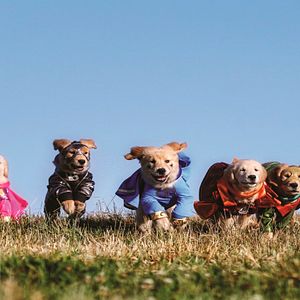 Photo Les Copains Super-Héros