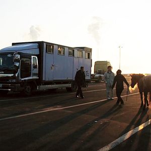 Photo The Horses of Fukushima