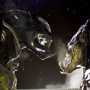 Photo Arctic Predator (TV)
