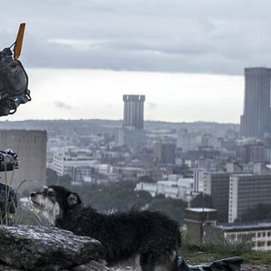 Photo Chappie