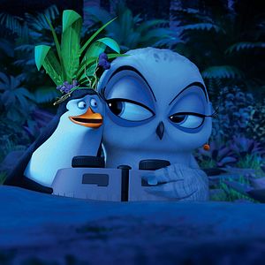 Photo Les Pingouins de Madagascar