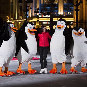 Photo Les Pingouins de Madagascar