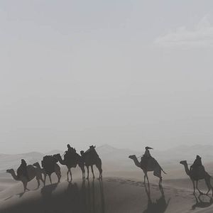 Photo Queen of the Desert