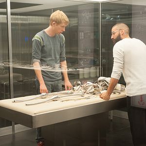 Photo Domhnall Gleeson