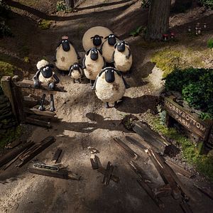 Photo Shaun le mouton