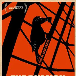 Photo The Russian Woodpecker