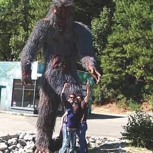 Photo Bigfoot County