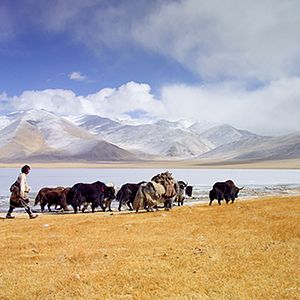 Photo Enfances Nomades