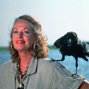 Photo Les Oiseaux 2