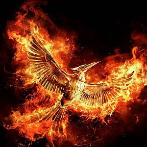 Photo Hunger Games - La Révolte : Partie 2