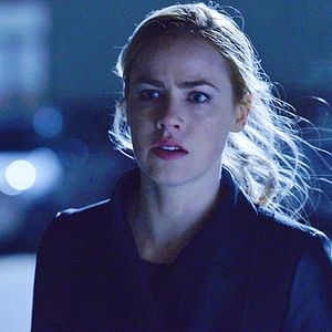 Photo 12 Monkeys