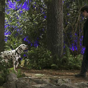 Photo Jared Gilmore