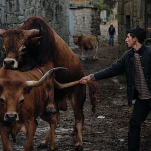 Photo Volta à Terra