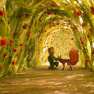 Photo Le Petit Prince
