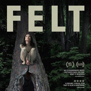Photo Felt