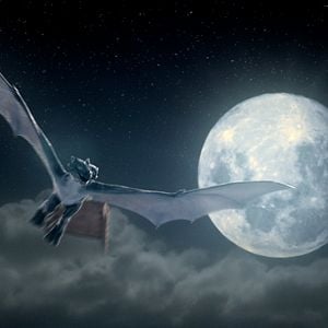 Photo Dragon - les aventuriers du royaume de Dramis