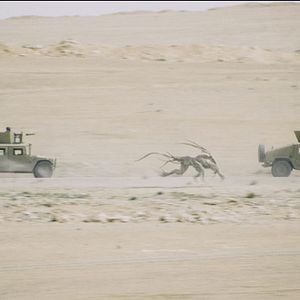 Photo Monsters: Dark Continent