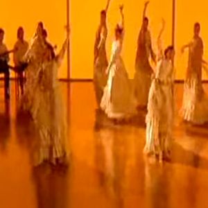Photo Flamenco