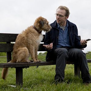 Photo Absolutely Anything