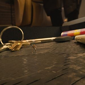 Photo Ant-Man