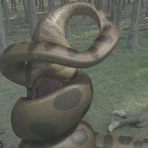 Photo Lake Placid vs. Anaconda