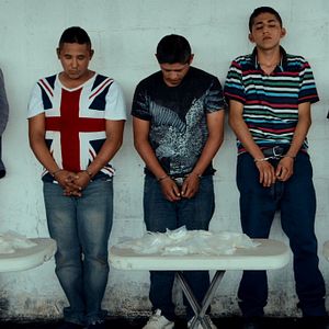 Photo Cartel Land