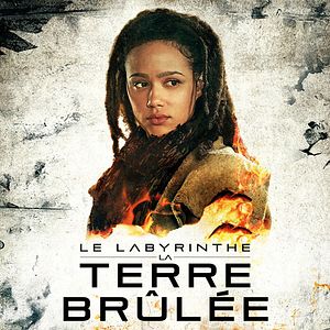 Photo Le Labyrinthe : La Terre brûlée